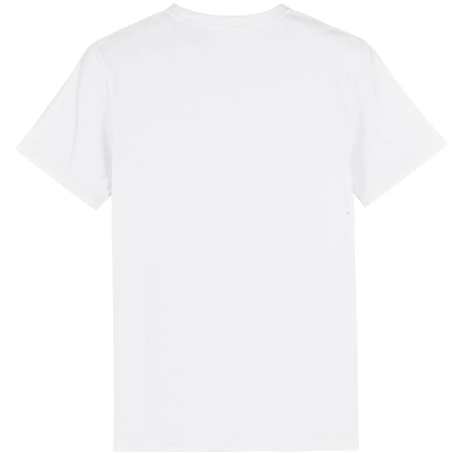 biotshirt__wallis_1.webp BIO-T-Shirt | Wallis
