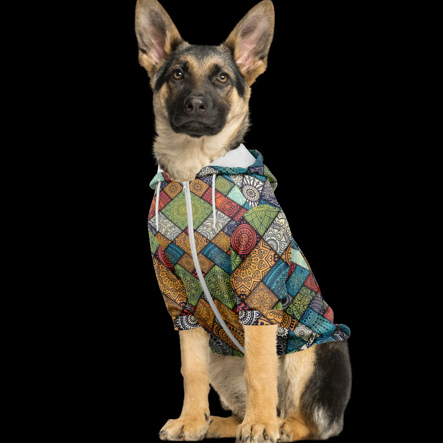 kapuzenpulli_mit_reiversc_4-19.webp Kapuzenpulli mit Reißverschluss für Hunde | Fliesen