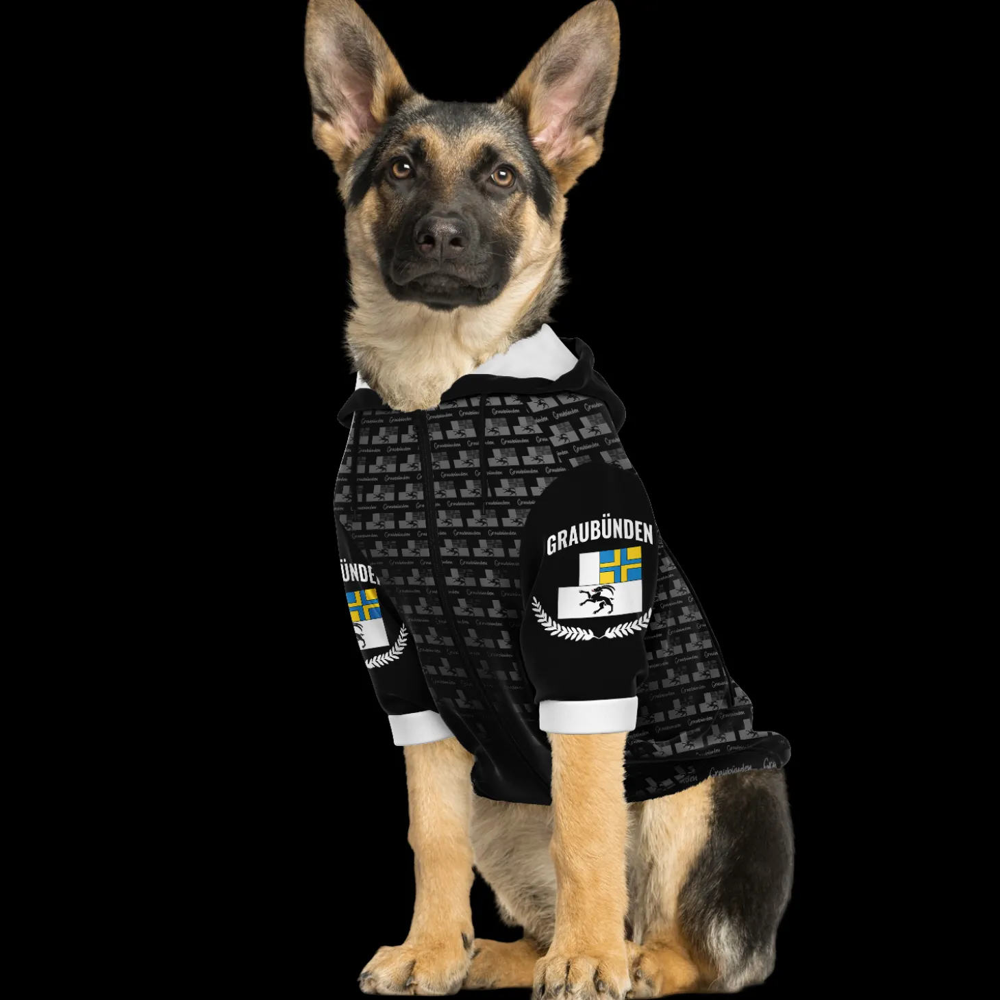 sweatshirt_fr_hunde__grau_2.webp Sweatshirt für Hunde - Graubünden
